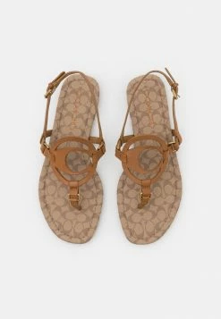 Cheap 😉 Coach JERI - T-bar 🩴 Sandals - Light Saddle/stone 🛒 11 Cheap 😉 Coach JERI - T-bar 🩴 Sandals - Light Saddle/stone 🛒 -Coach Sales a0a3d16fb83847da8b9c745344fafc56