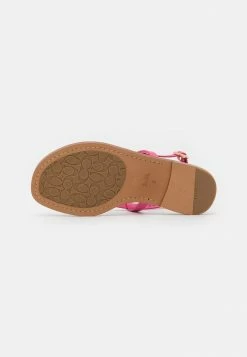 Deals ๐งจ Coach JOSIE RECYCLED - T-bar ๐ฉด Sandals - Petunia ๐ 12 Deals ๐งจ Coach JOSIE RECYCLED - T-bar ๐ฉด Sandals - Petunia ๐ -Coach Sales f58decdfb37547d6834a919c6c2cffb4